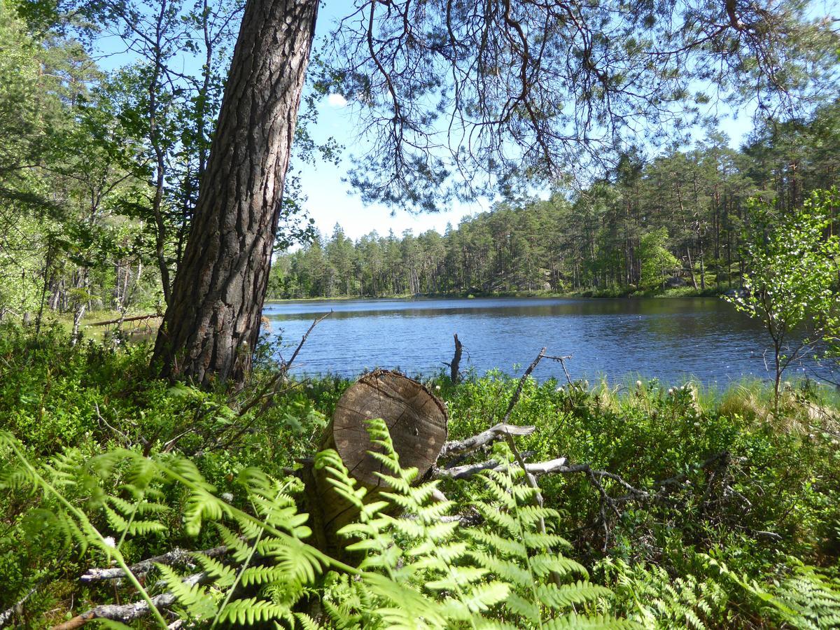 Ydrefors Bed & Breakfast Buitenkant foto