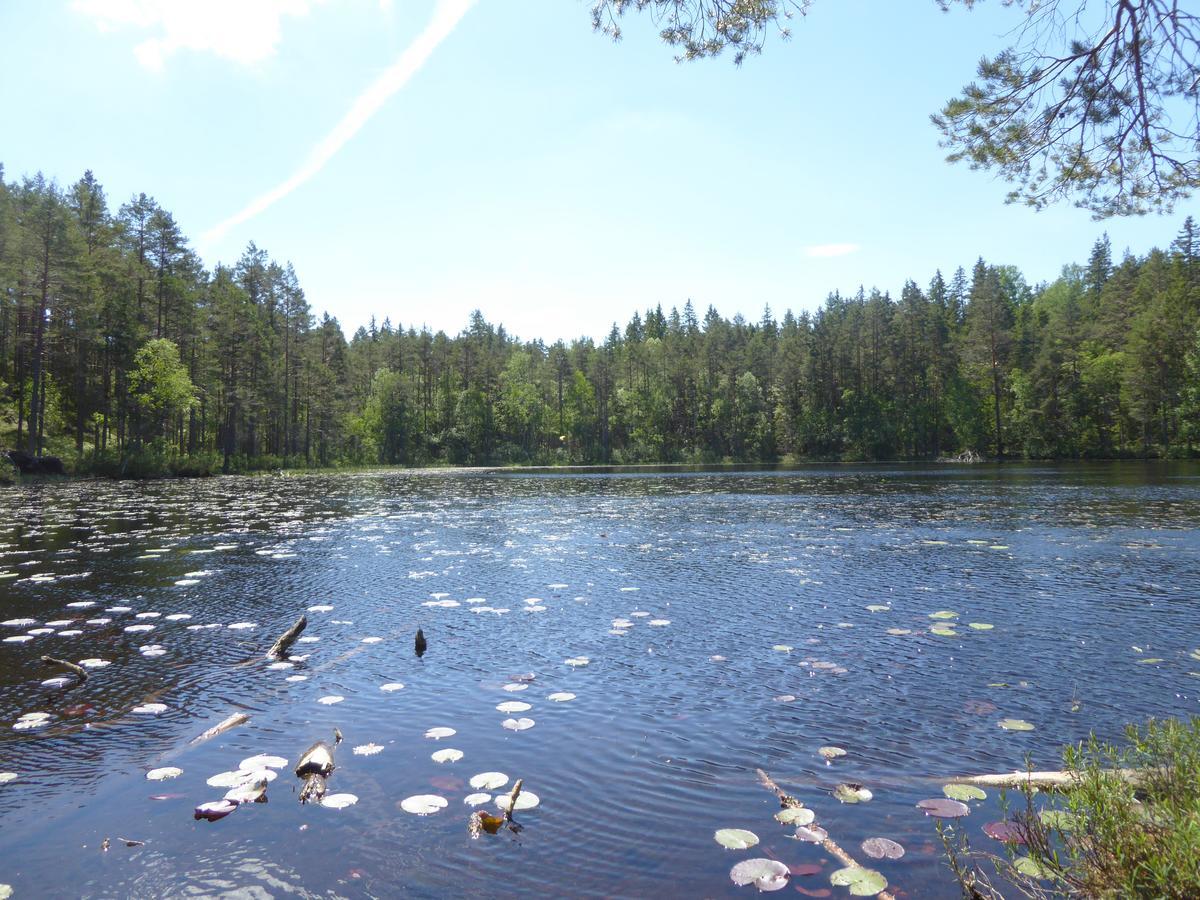 Ydrefors Bed & Breakfast Buitenkant foto