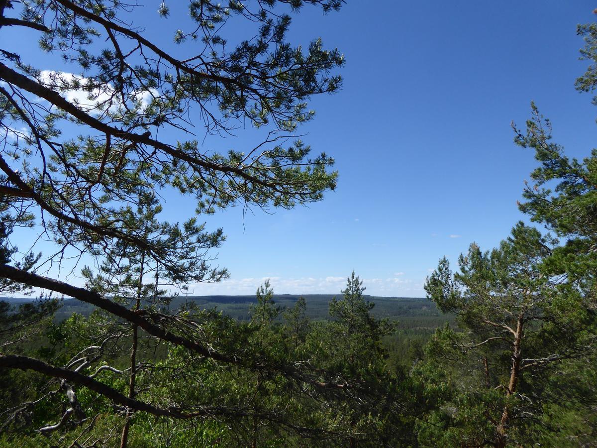 Ydrefors Bed & Breakfast Buitenkant foto